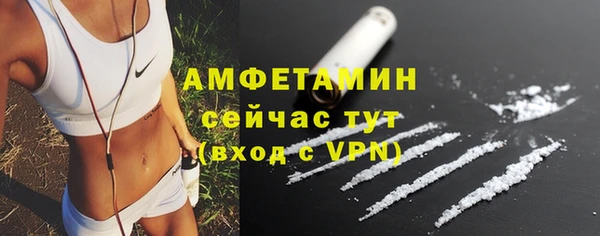 прущие грибы Баксан