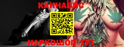 тгк Гатчина