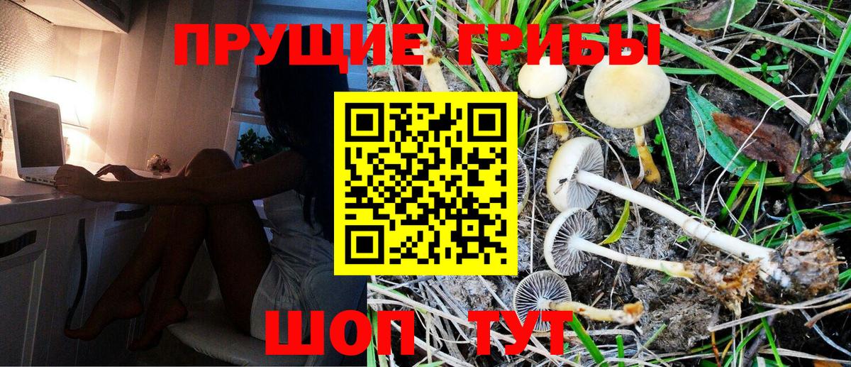 Новый Уренгой  Псилоцибиновые грибы Psilocybe  Вход с VPN 