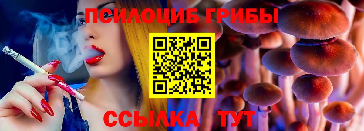 ГАШ Новый Уренгой
