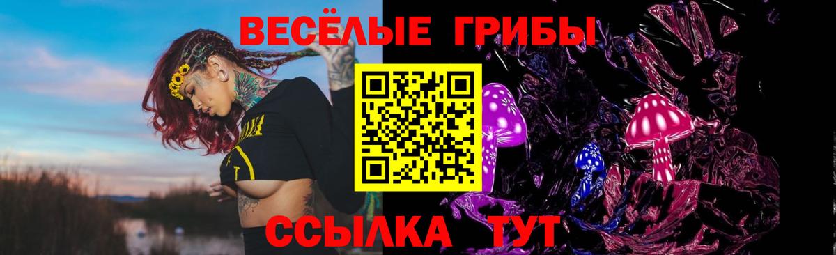 Псилоцибиновые грибы ЛСД Новый Уренгой